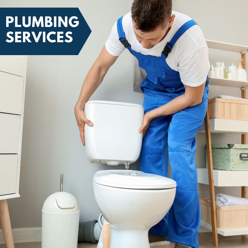 Plumbing Company in Addieville, IL